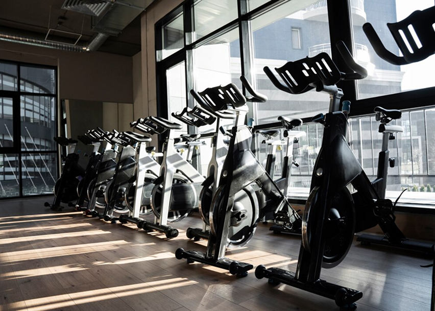 Велодорожки в тренажерном зале